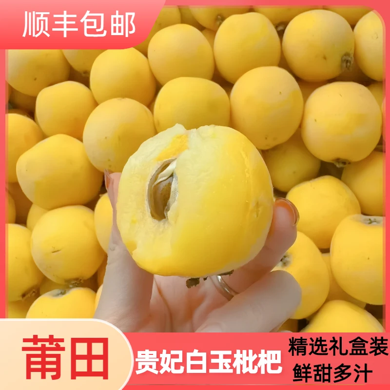 莆田华亭白枇杷贵妃白玉琵琶孕妇新鲜水果一整件批发顺丰当季水果