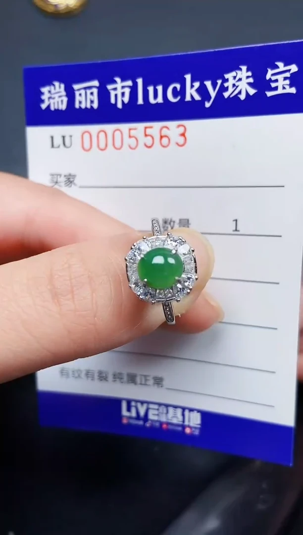 翡翠银S925镶嵌颈饰5563