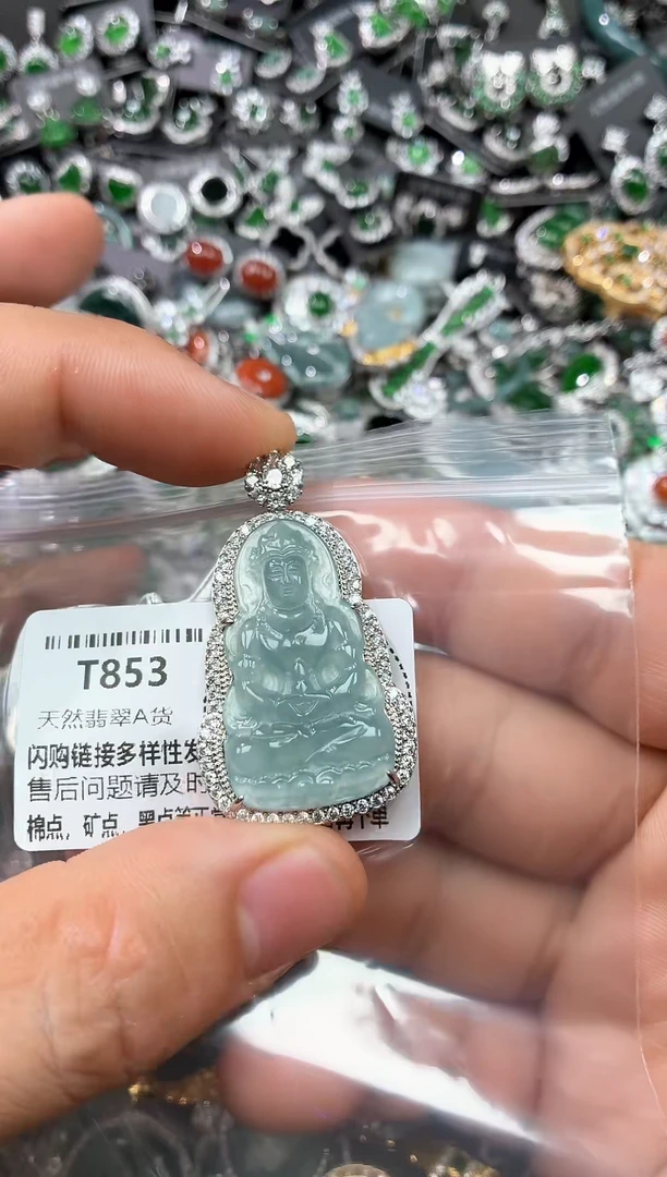 翡翠未镶嵌颈饰T853吊坠