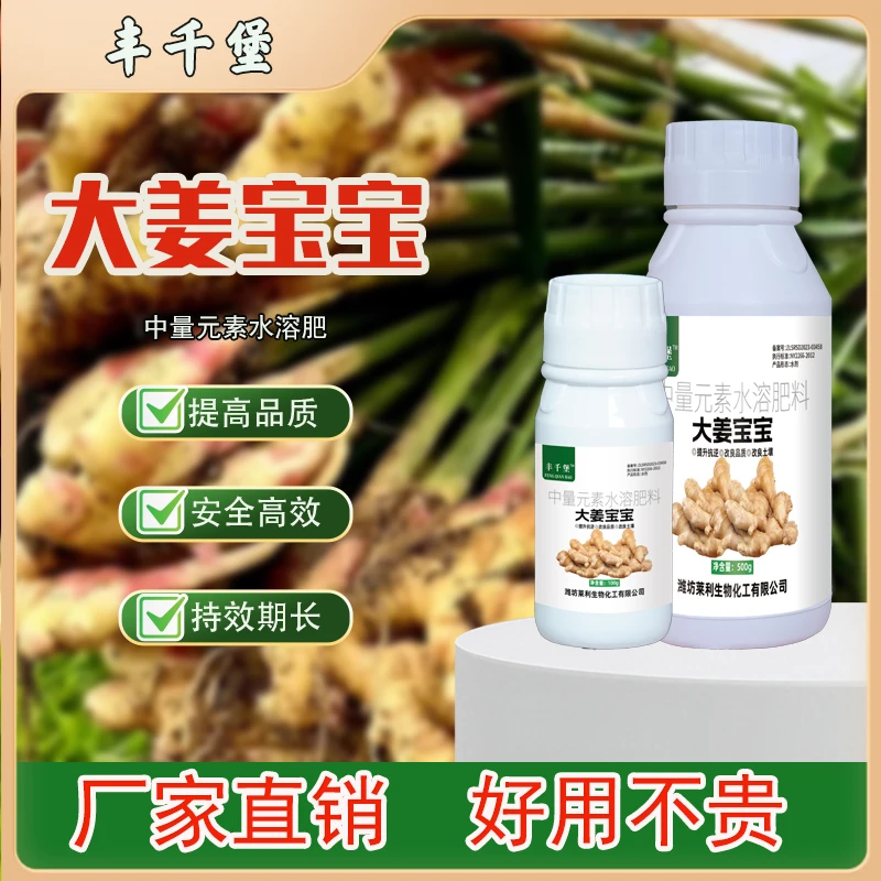 【大姜宝宝】大姜姜瘟茎腐根腐烂脖子炭疽清枯中量元素水溶肥