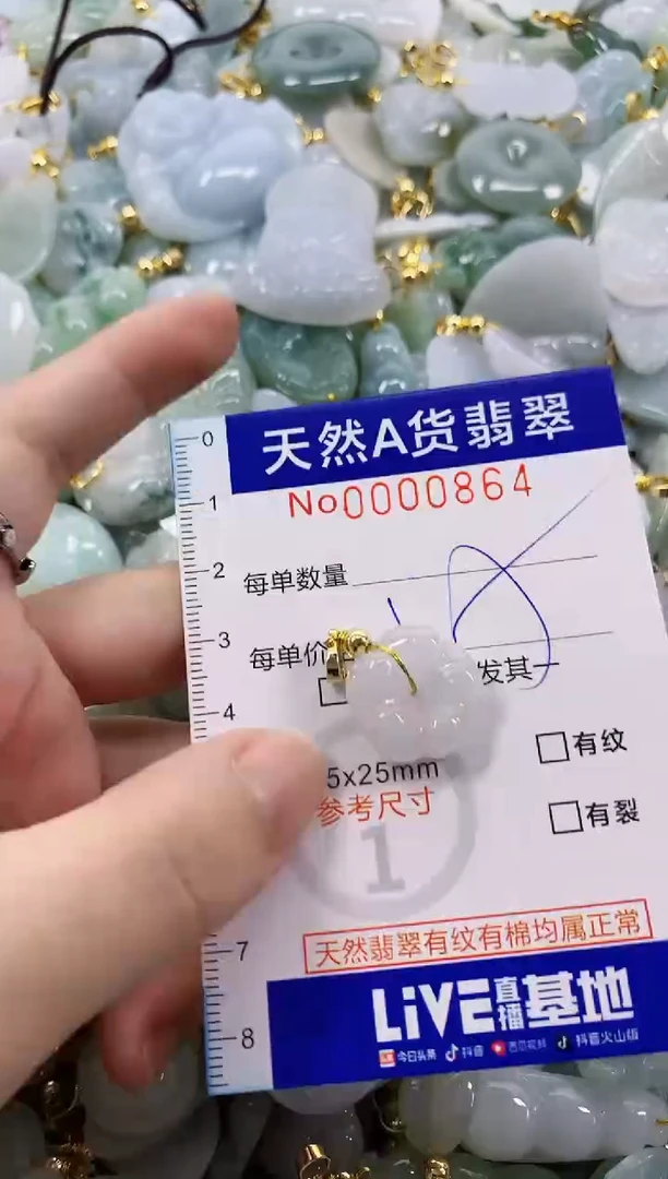 颈饰未镶嵌翡翠天然A货翡翠