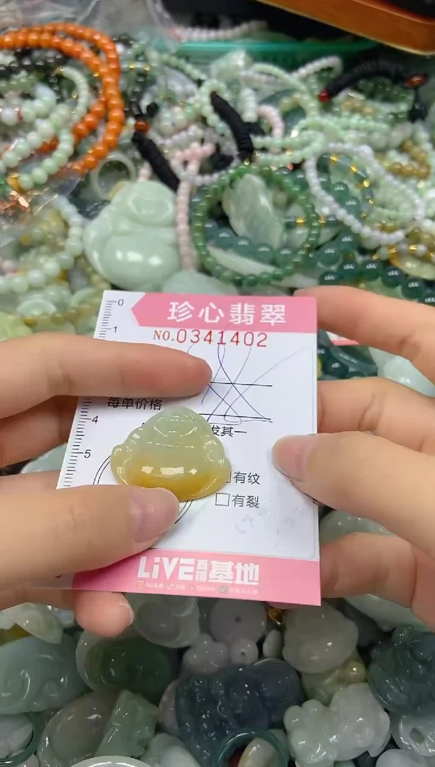 颈饰未镶嵌翡翠闪购0341402