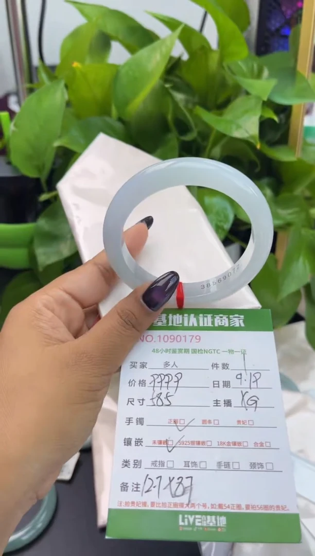 未镶嵌手镯翡翠多人