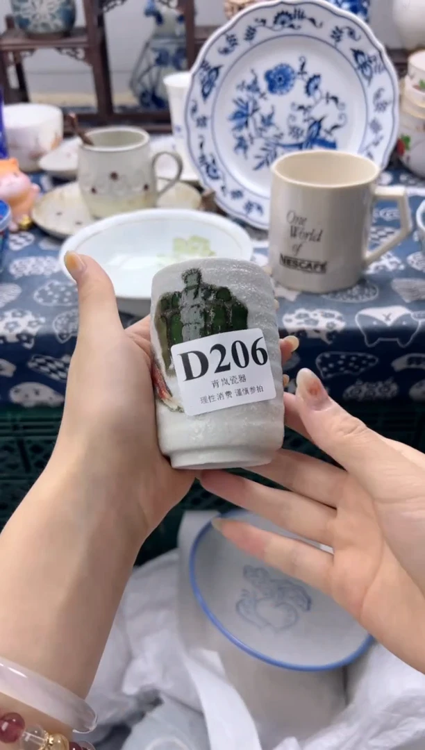 瓷片系**置  D206