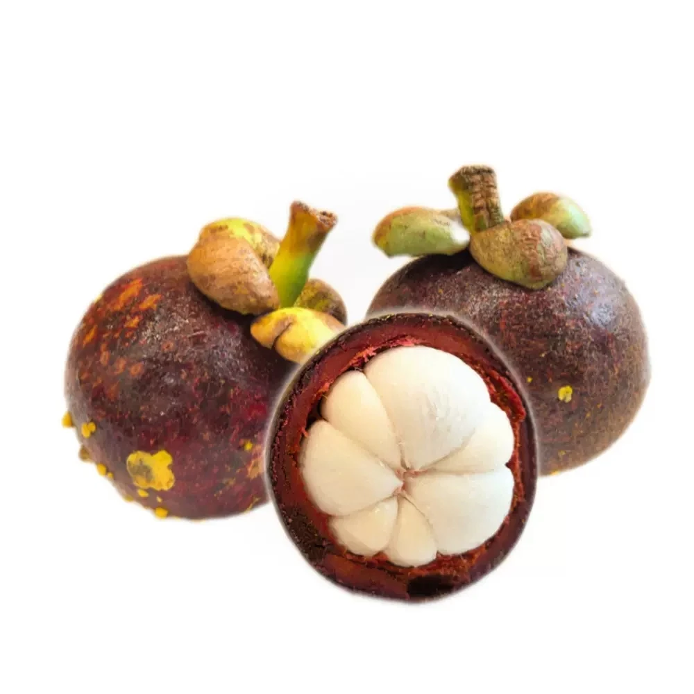 泰国花麻竹500g/盒