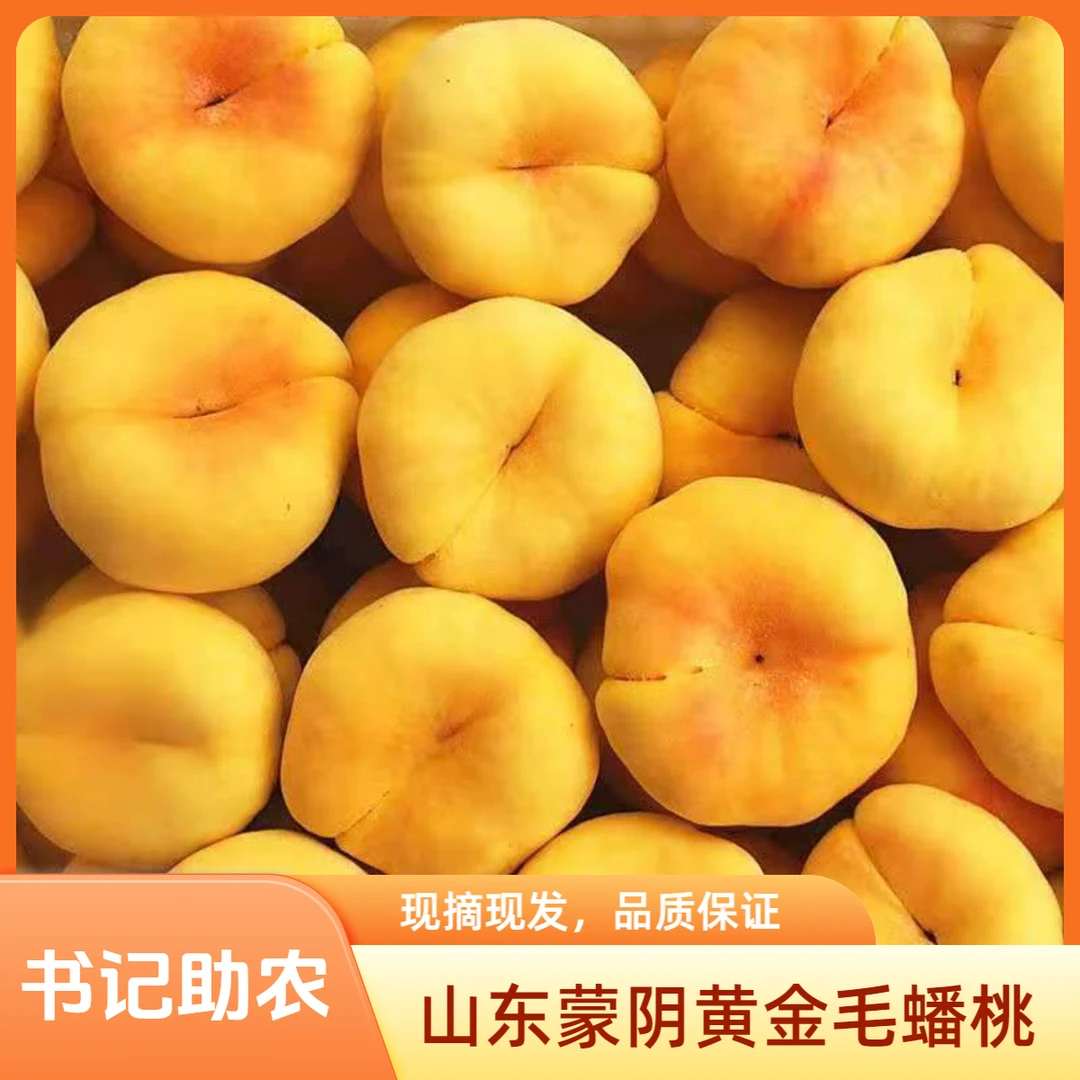 【书记助农、顺丰包邮】山东蒙阴黄金毛蟠桃王母蟠桃3/4.5斤山东省