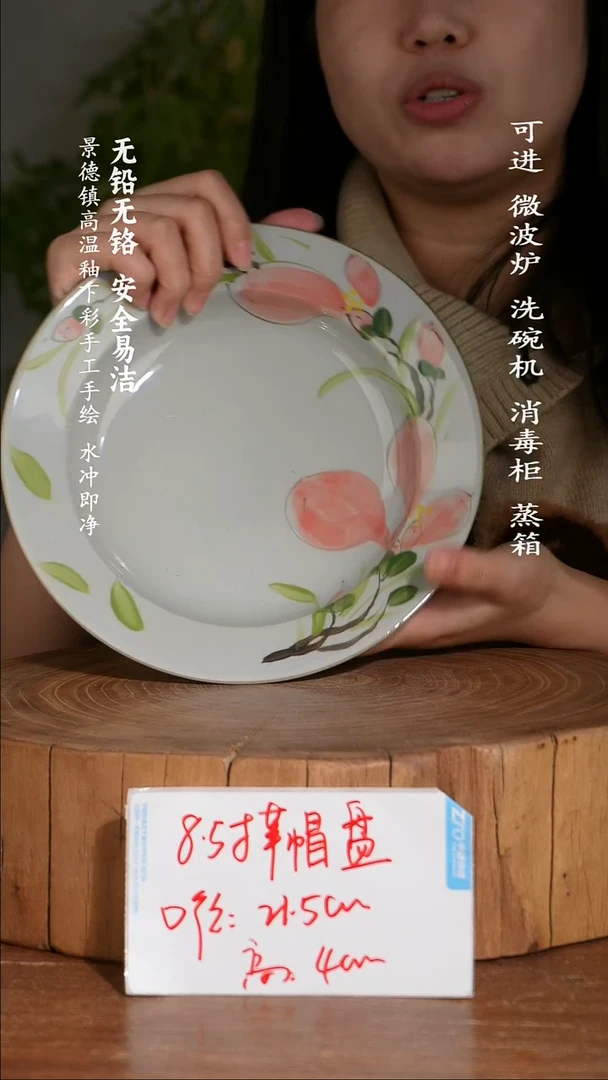 碗陶瓷景德镇高温瓷釉下彩手绘陶瓷