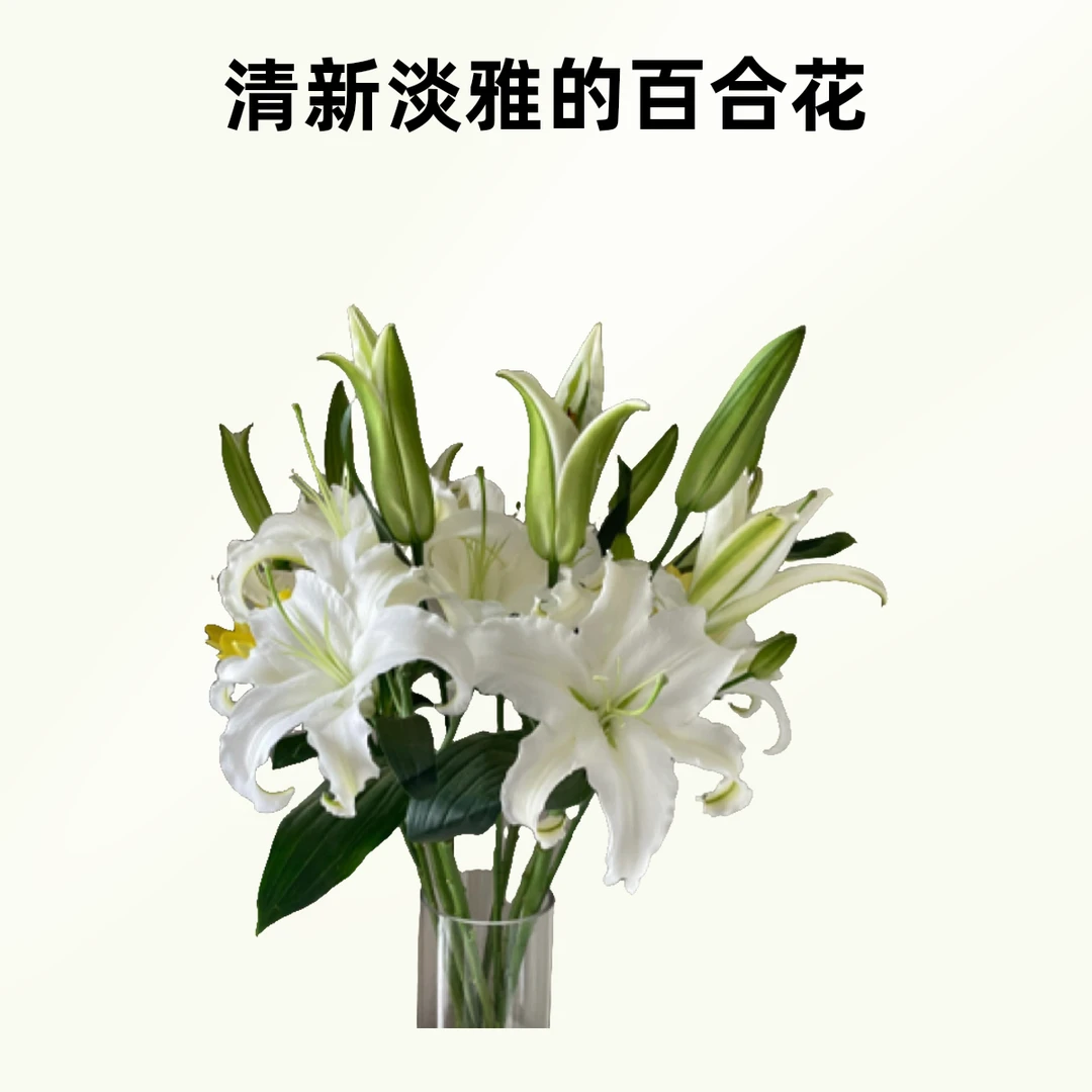 【两头百合】百事合意新鲜鲜花家用水养花束3支