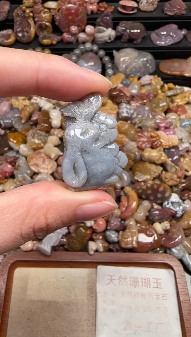 颈饰未镶嵌硅化珊瑚（珊瑚玉）273