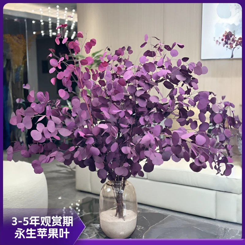 【苹果尤加利叶】氛围感高端小众花材永生花桌面款落地款永生花花束