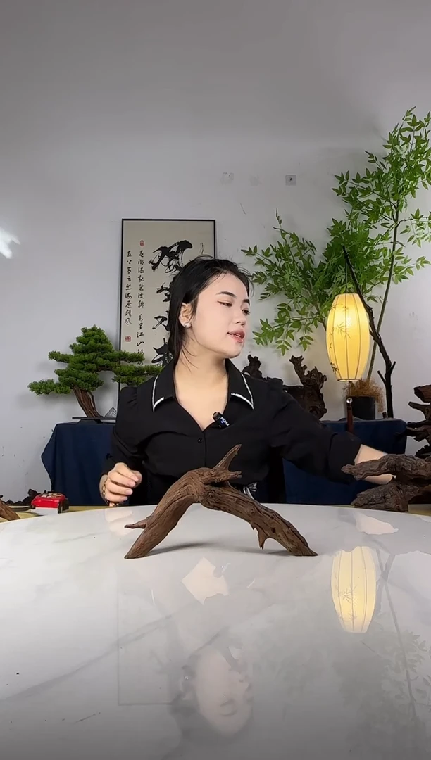 阿**！拍这个定向编号3