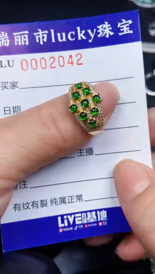 翡翠银S925镶嵌颈饰2042
