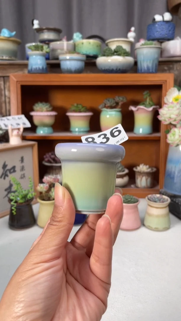 瓷片836知木小芳花盆编号