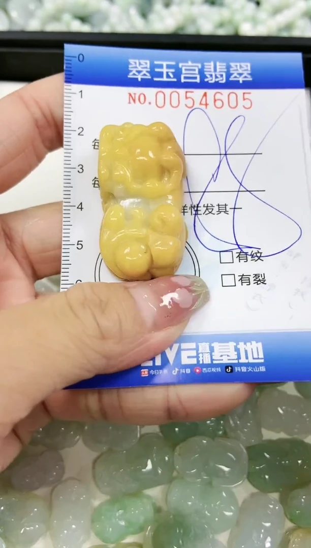 【闪购商品】翡翠颈饰未镶嵌闪购0054605