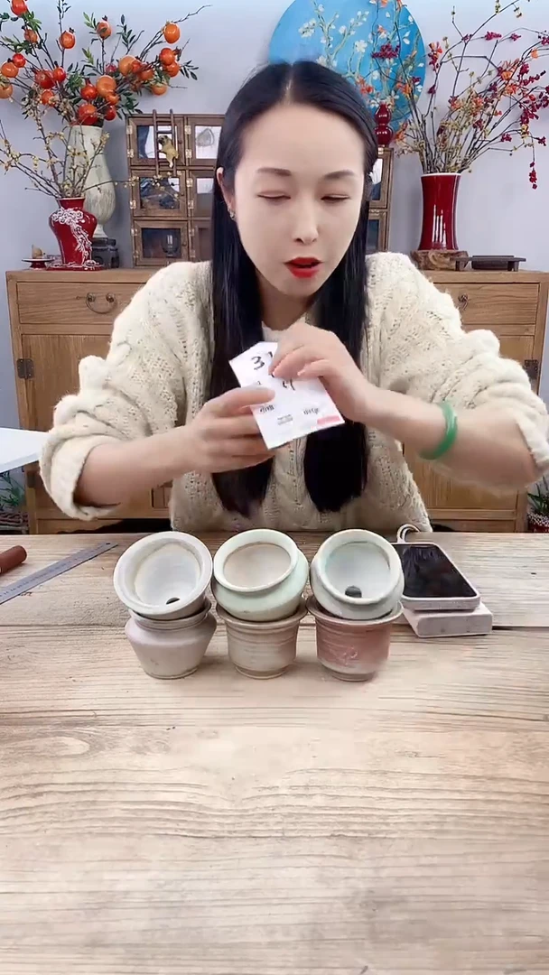 【闪购商品】红陶313