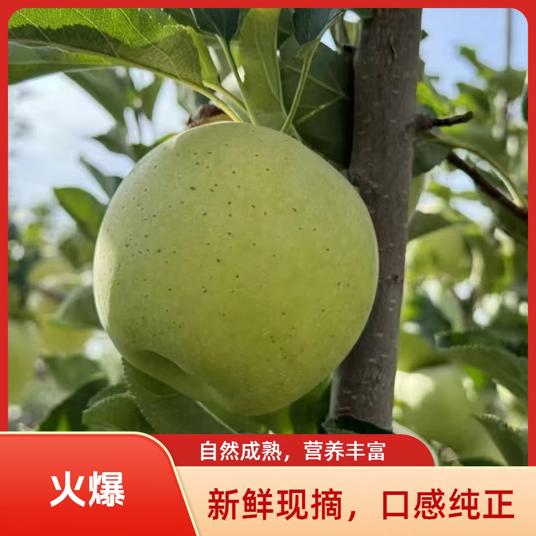 王林青苹果新鲜应季脆甜爆汁产地直发