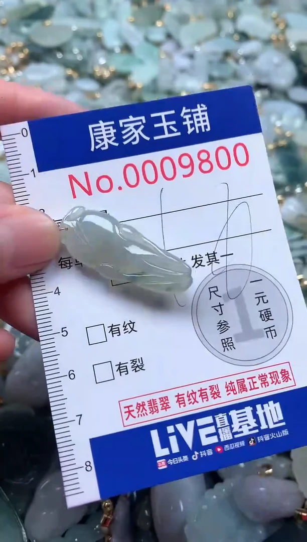 【闪购商品】翡翠吊坠(不含链)未镶嵌9800