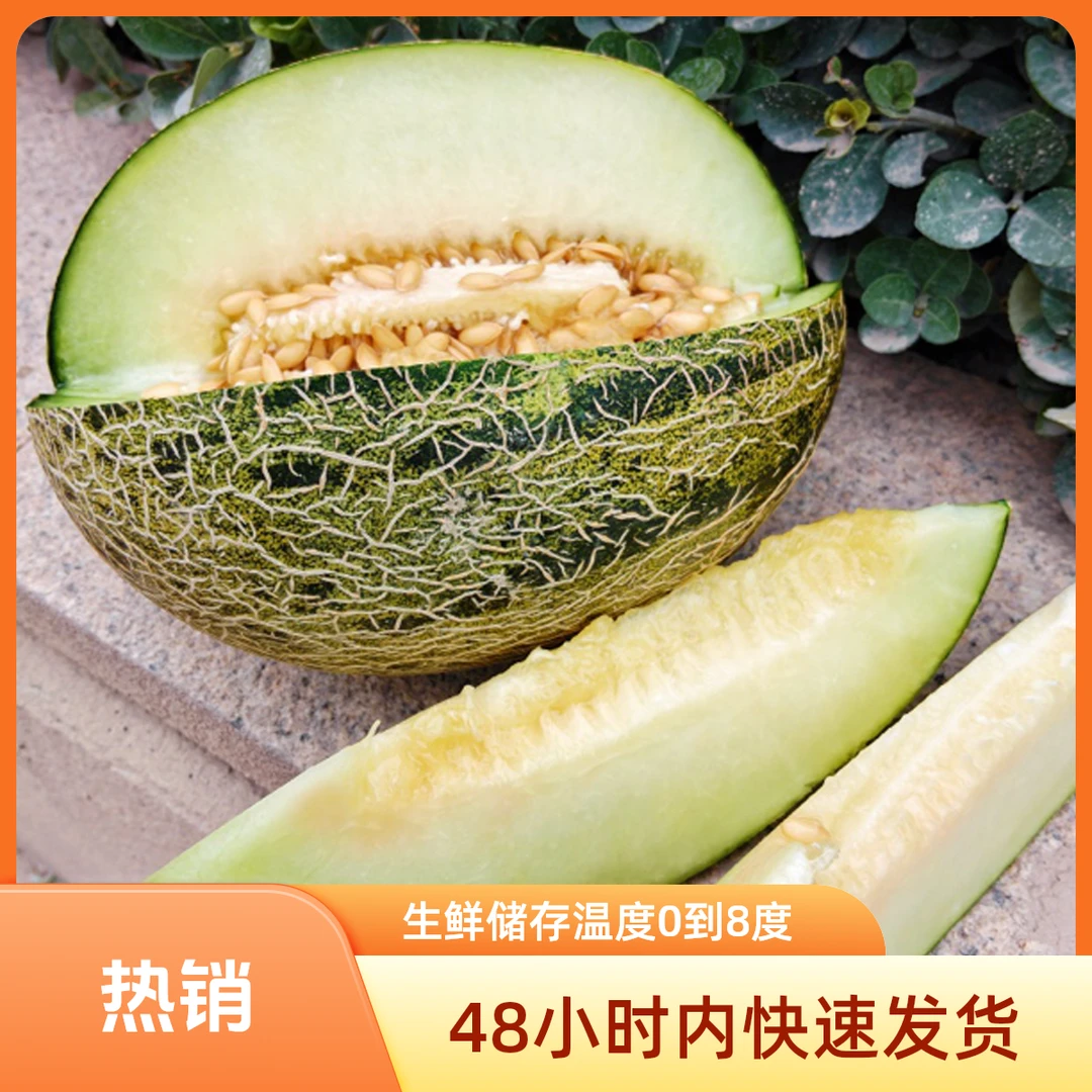 喀什伽师甜瓜原产地直发