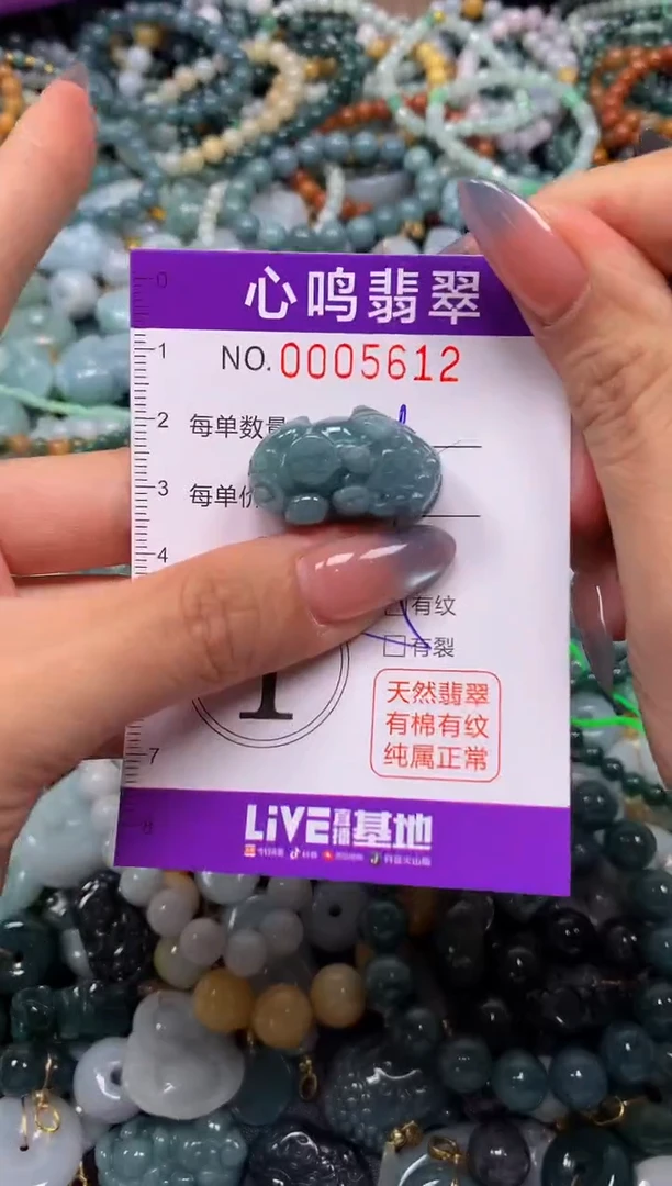 颈饰未镶嵌翡翠闪购005612