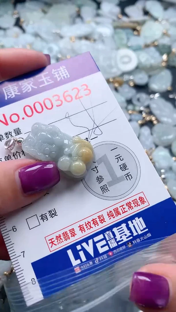 颈饰未镶嵌翡翠3623