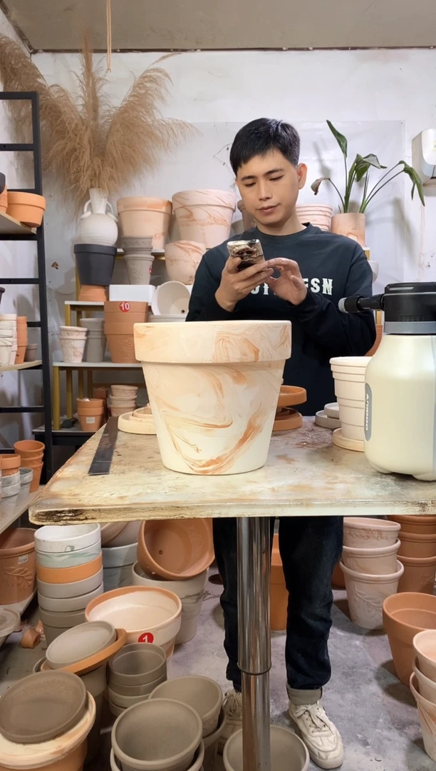 23*21玛奇朵 1盆无托