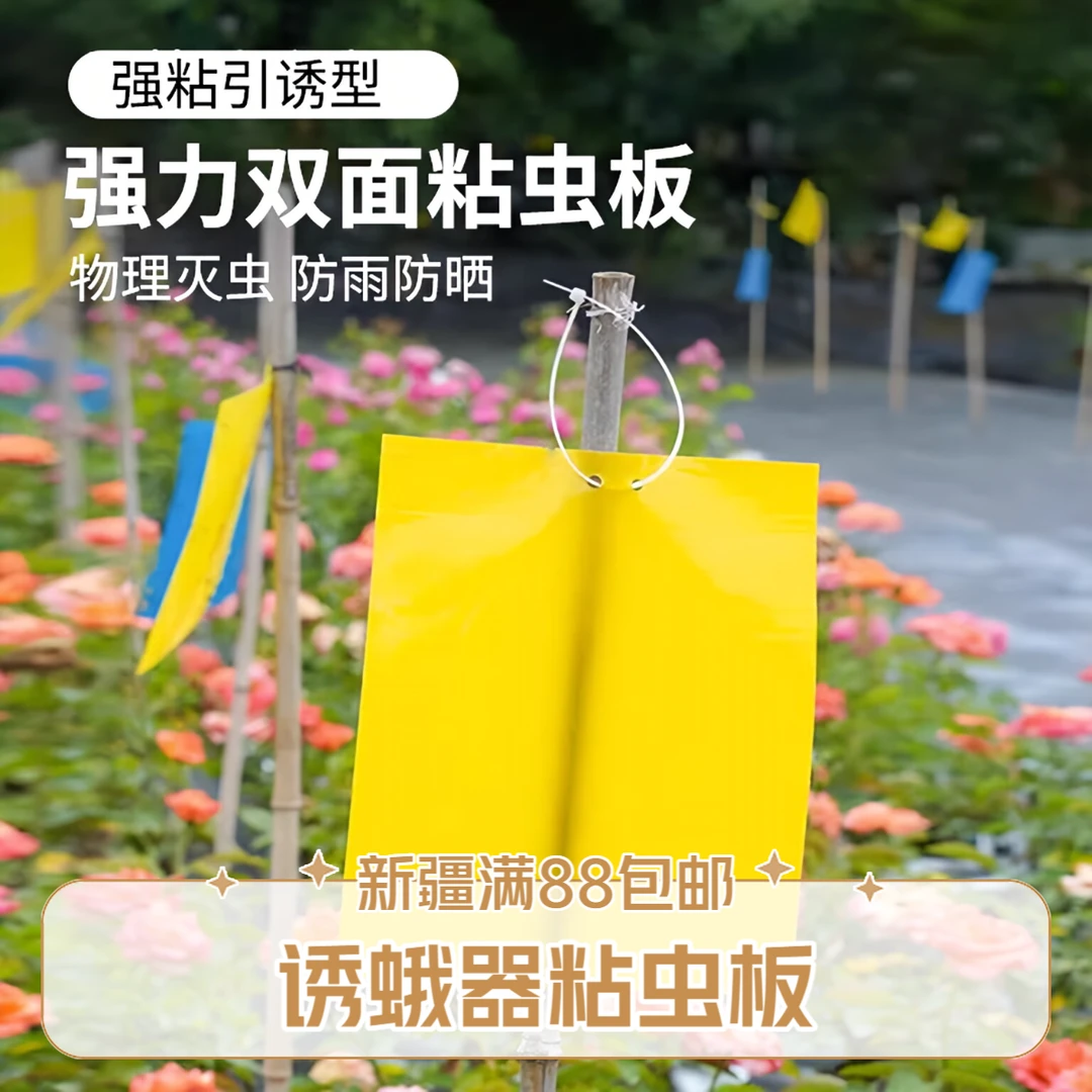 三角形诱蛾器双面粘虫板，辣椒地西红柿潜叶蛾诱芯新疆满88包邮