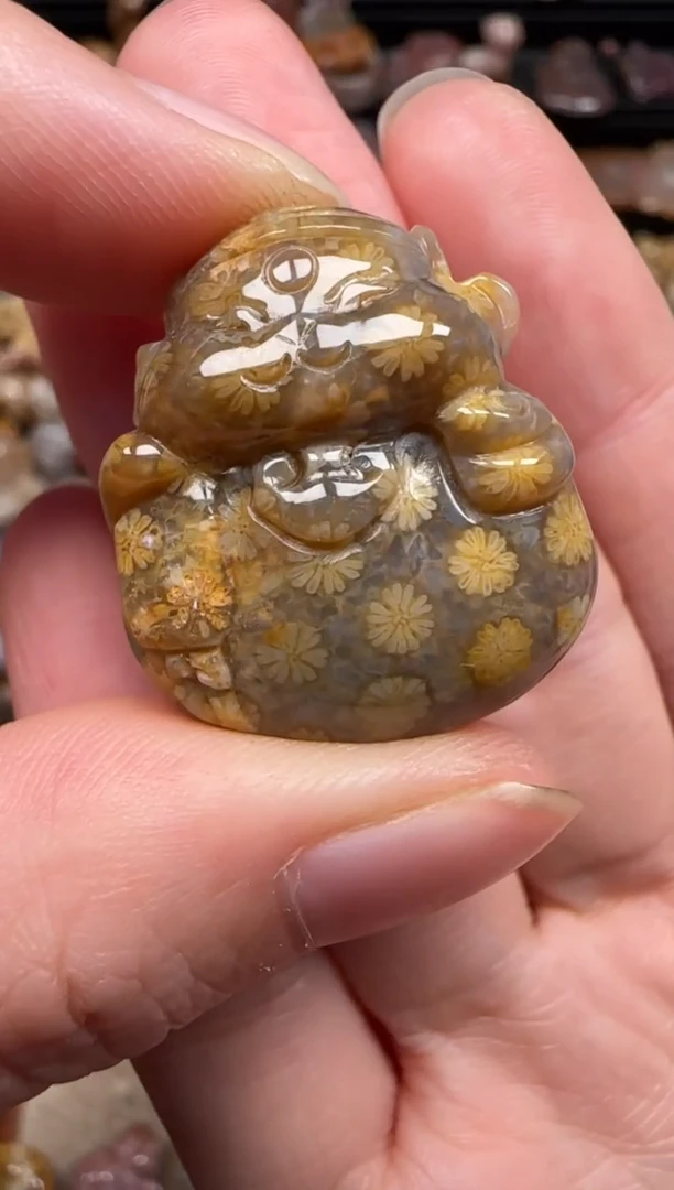 硅化珊瑚（珊瑚玉）未镶嵌颈饰779