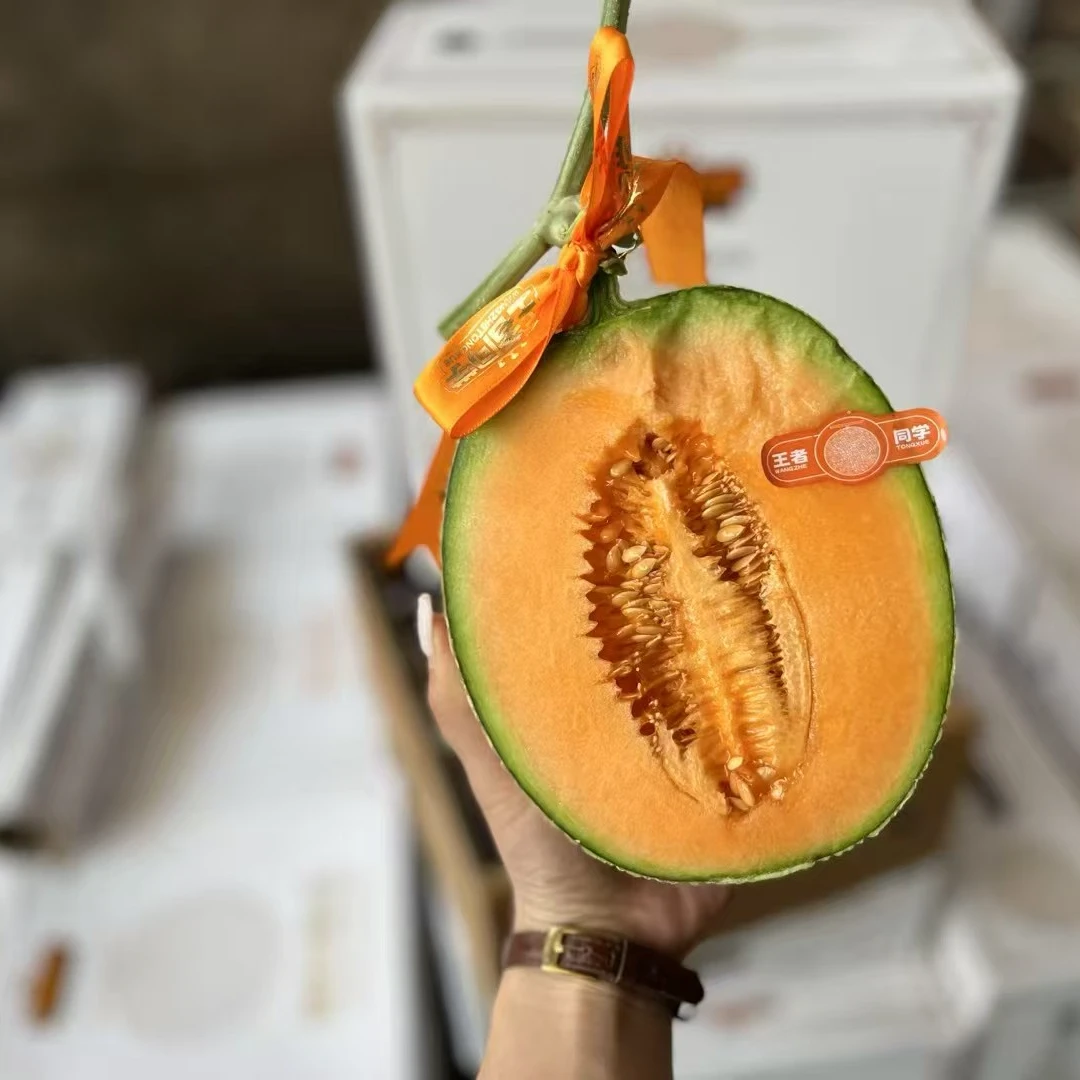 【辉展甄选】网纹蜜瓜爆款软糯香甜多汁新鲜现摘顺丰包邮