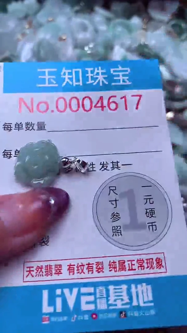 翡翠未镶嵌吊坠(不含链)4617