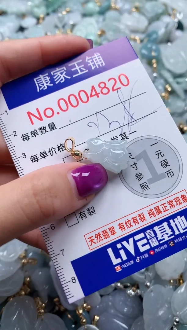 颈饰未镶嵌翡翠4820