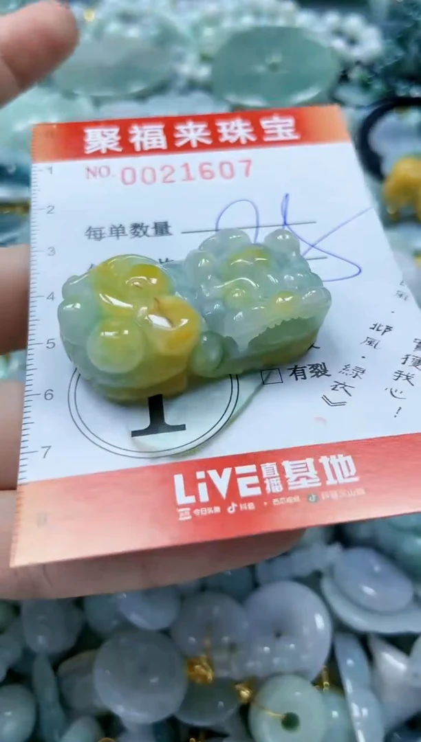 【闪购商品】翡翠颈饰未镶嵌闪购0021607