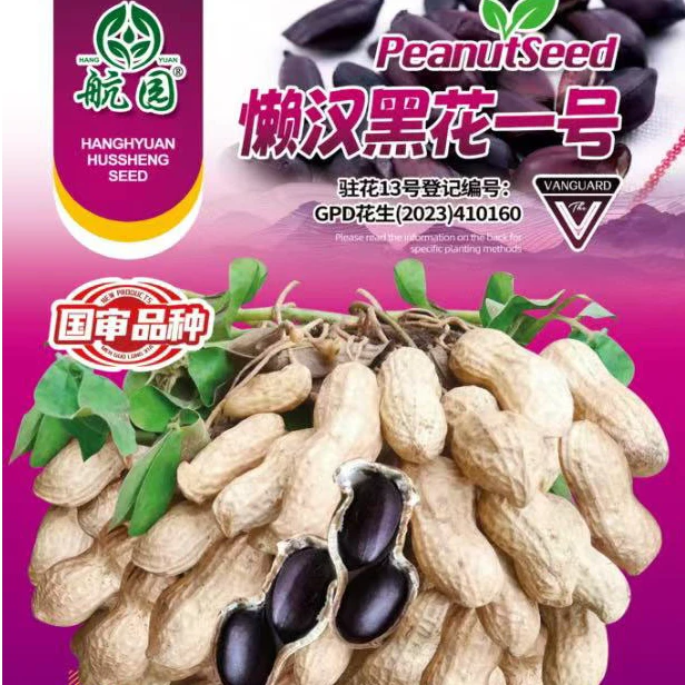 航园正品黑花生种子高产早熟薄壳富硒春夏播矮杆原种种子