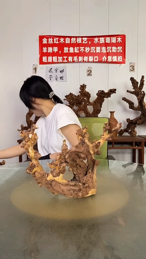香榧木沧**怀金丝红木 羊蹄甲