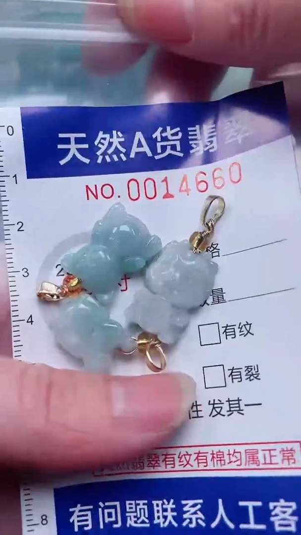 翡翠未镶嵌吊坠(赠链)1