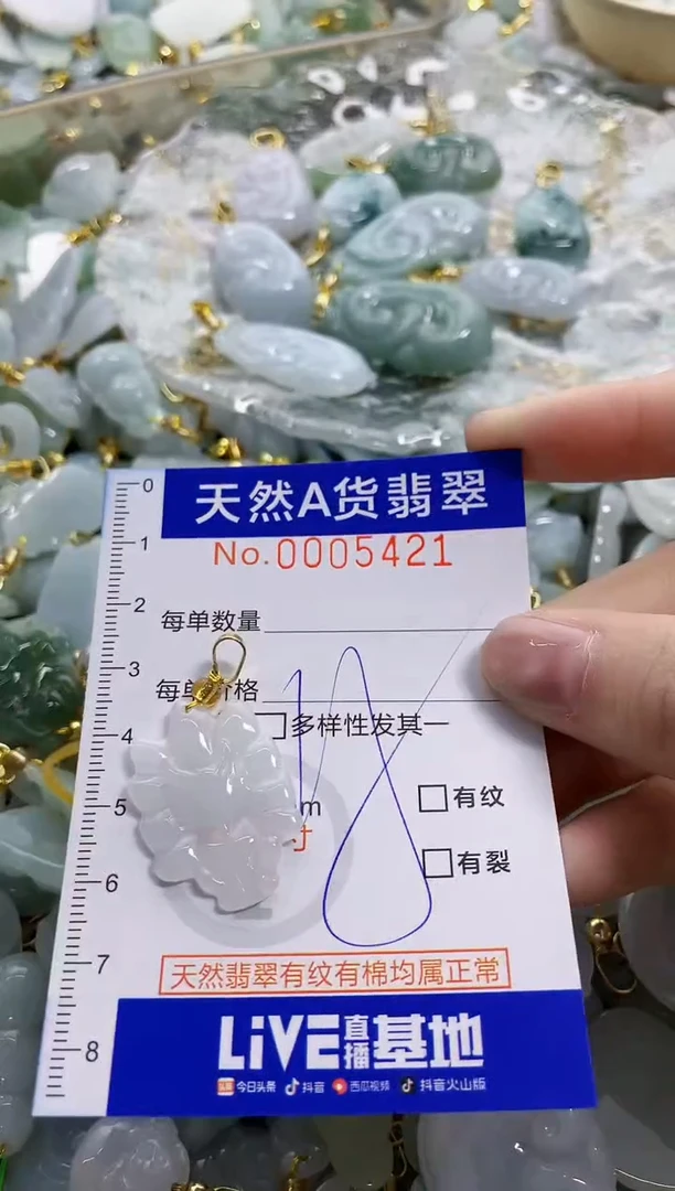 颈饰未镶嵌翡翠天然A货翡翠