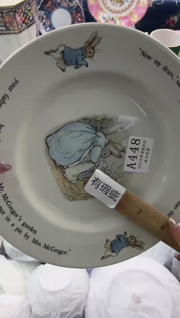 瓷片          A448