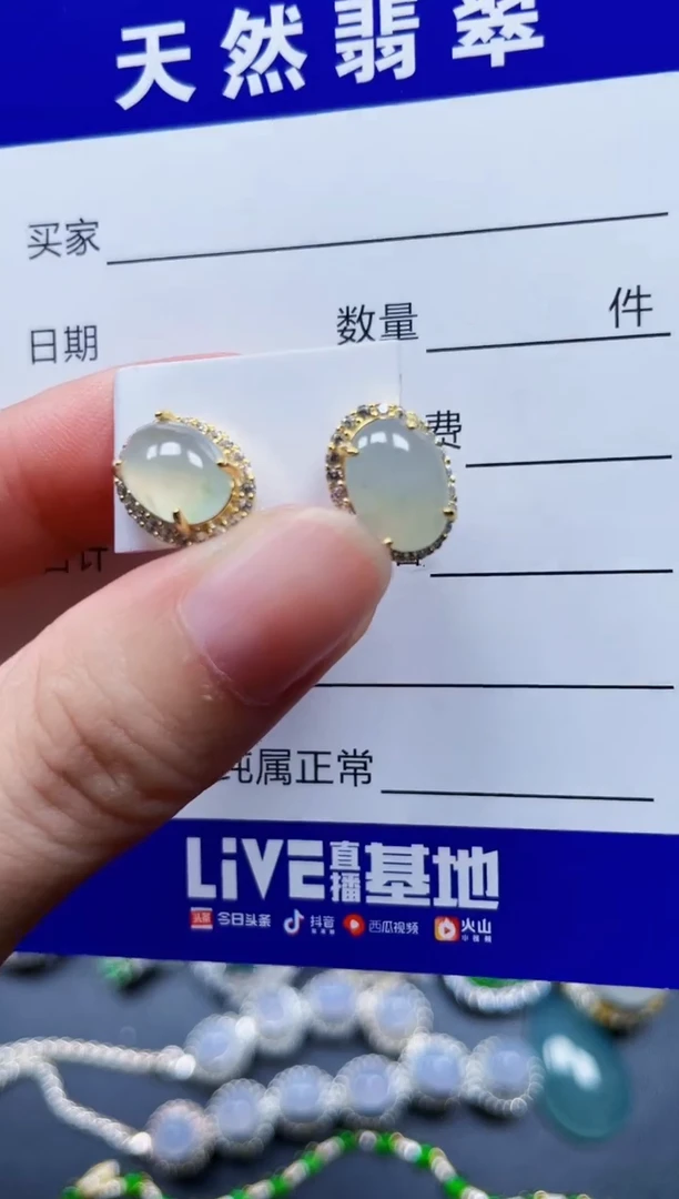 银S925镶嵌翡翠耳饰204