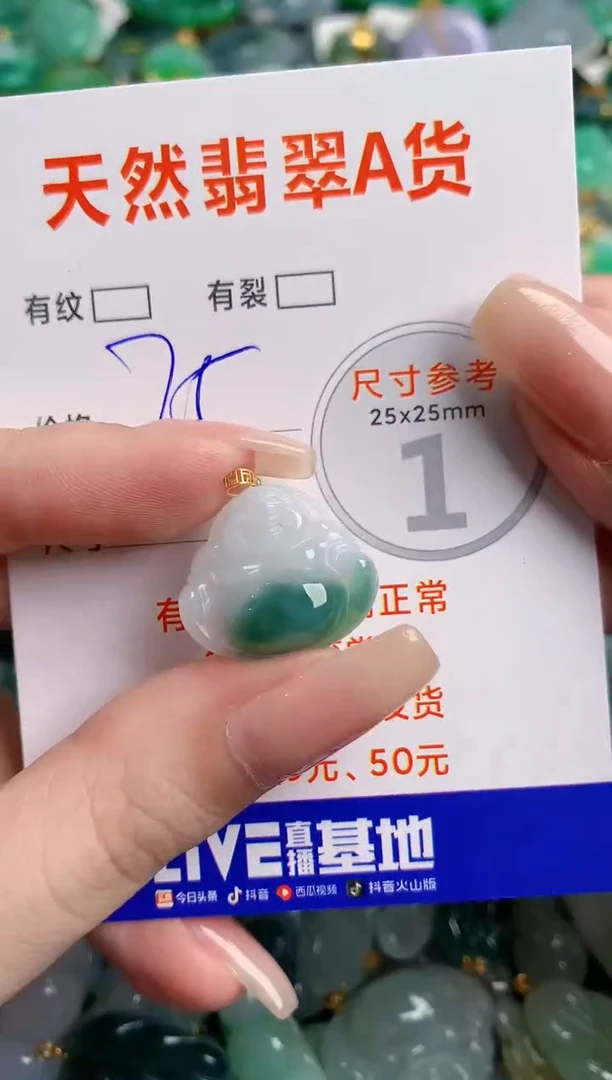 翡翠18K金镶嵌颈饰24001521