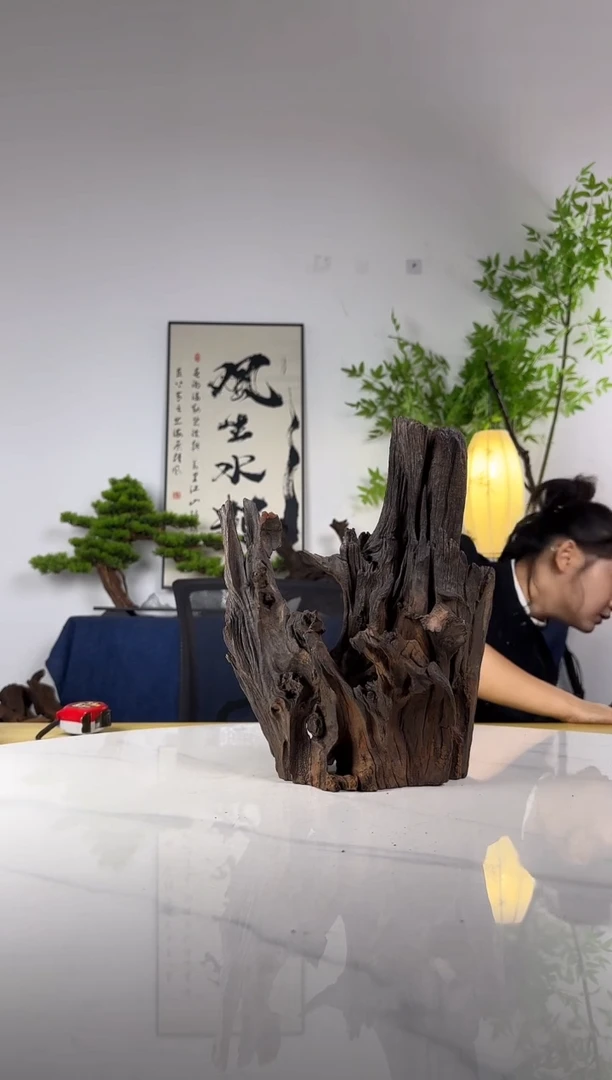 这****✨拍这个定向编号32