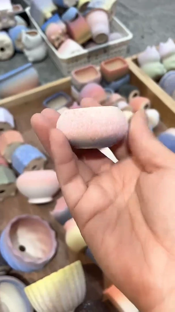 茵茵的欧气花园3*2.5