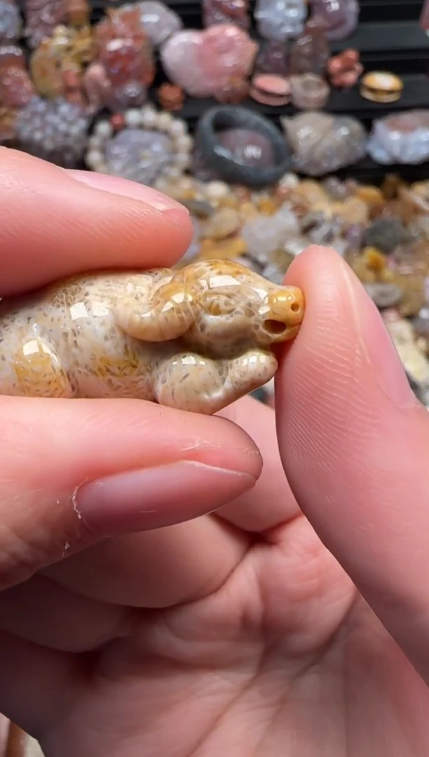 颈饰未镶嵌硅化珊瑚（珊瑚玉）729