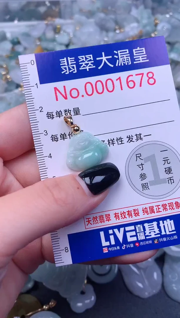 颈饰未镶嵌翡翠1678