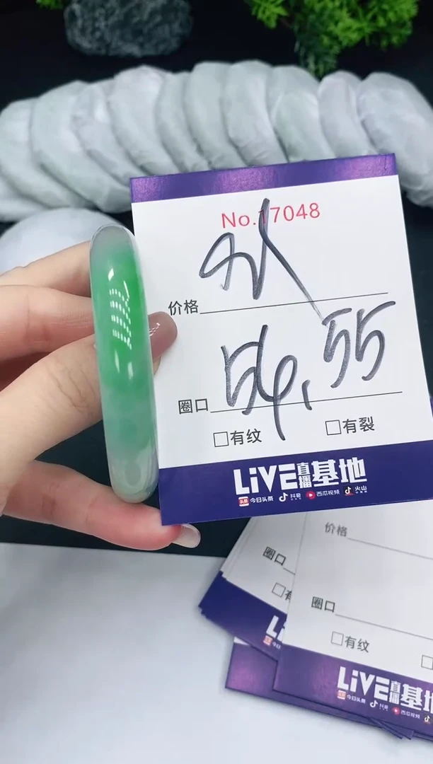 未镶嵌手镯翡翠17048