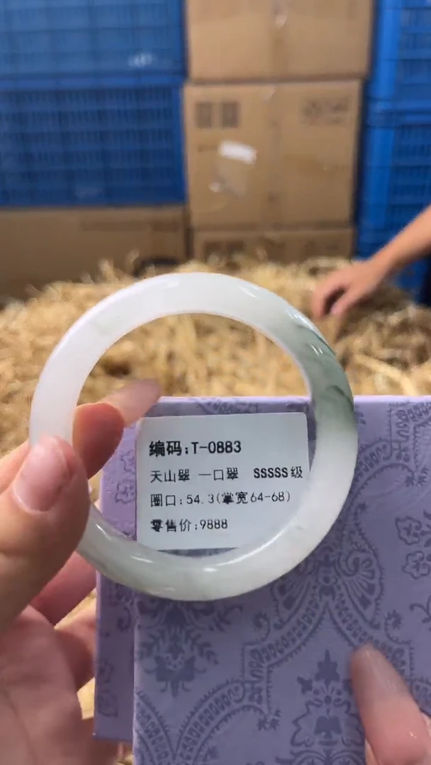 未镶嵌手镯石英质玉T-0883