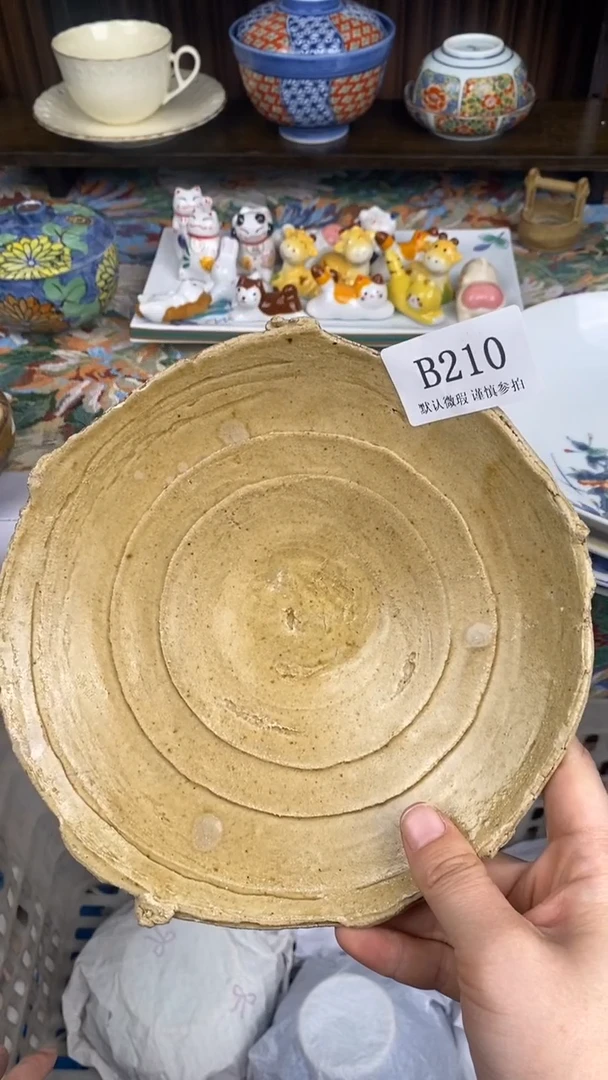 瓷片外*人B210 瓷片  一物一拍