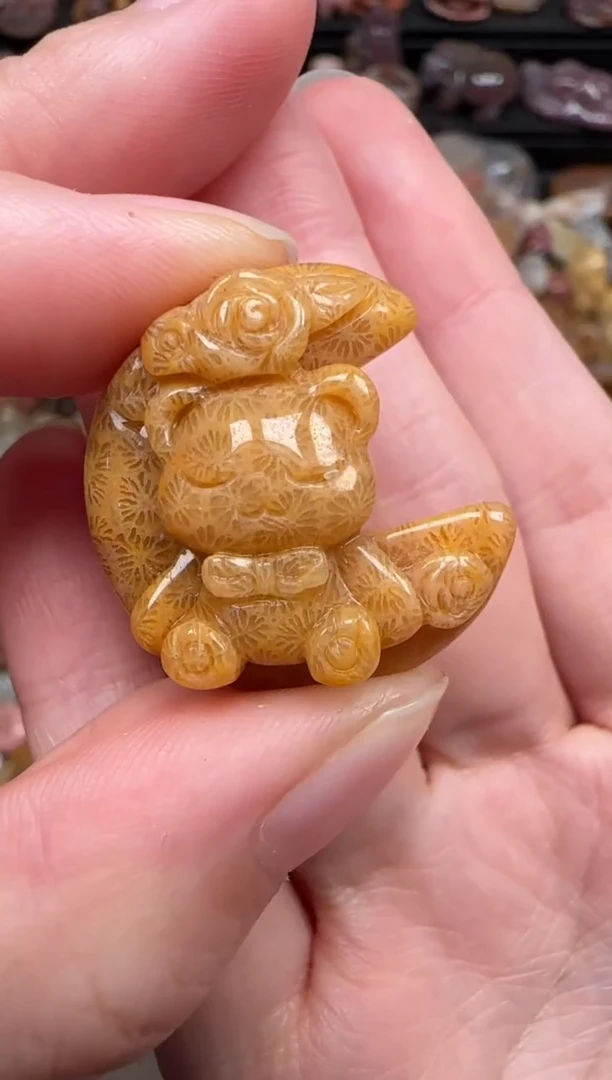 颈饰未镶嵌硅化珊瑚（珊瑚玉）393