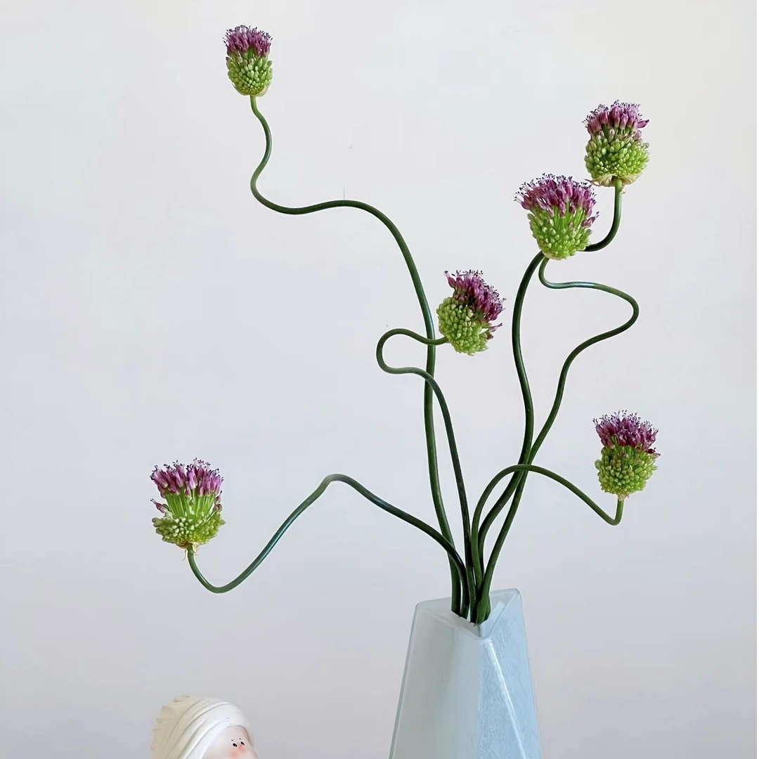 小众意境花材【日本弯葱】1扎10支