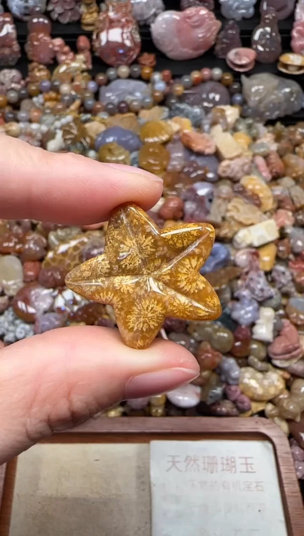 颈饰未镶嵌硅化珊瑚（珊瑚玉）504