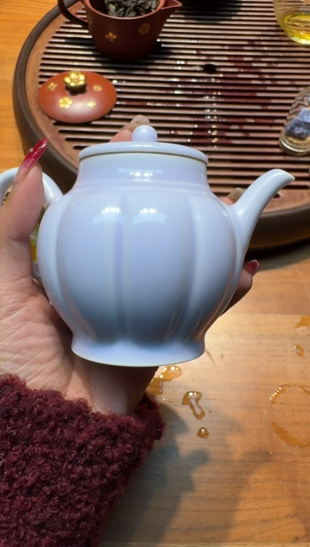 【闪购商品】龙德堂范泽峰玉汝壶95