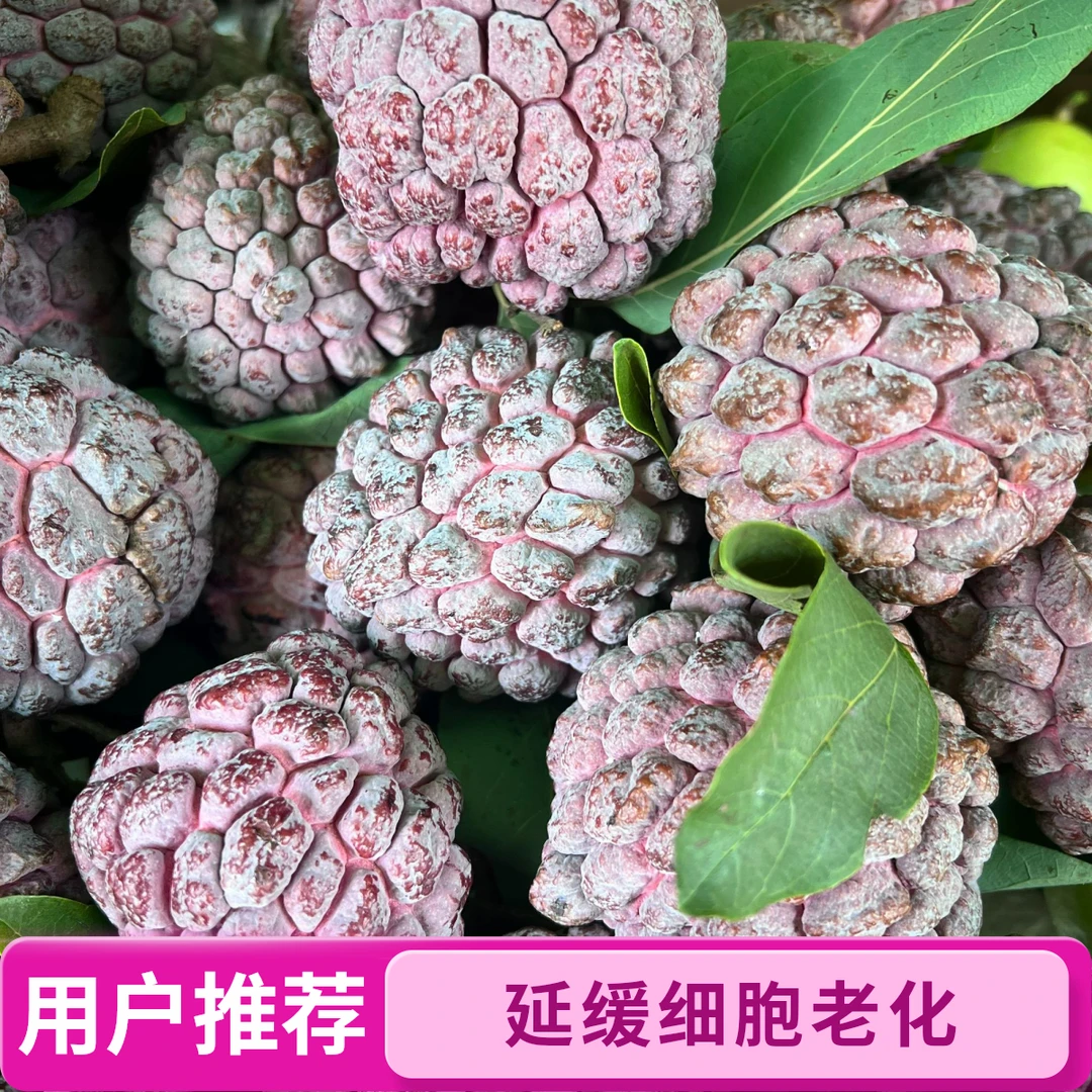 玫瑰释迦富含维C、B维持人体正常代谢还能延缓细胞老化